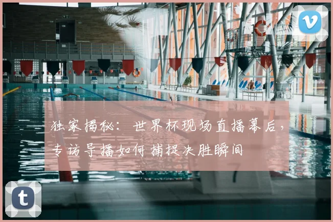 独家揭秘：世界杯现场直播幕后，专访导播如何捕捉决胜瞬间