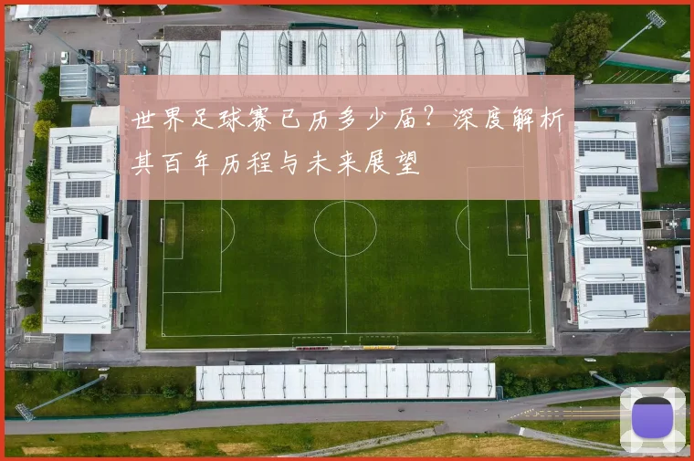 世界足球赛已历多少届？深度解析其百年历程与未来展望